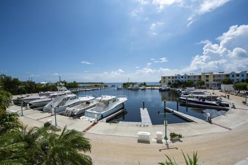 Licensed Mgr - Luxury Vip Penthouse Suite - Offers Resorts Best Panoramic Ocean Views! Key Largo Exterior photo